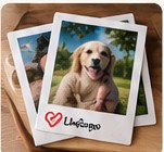 Photos carrying LinkTags